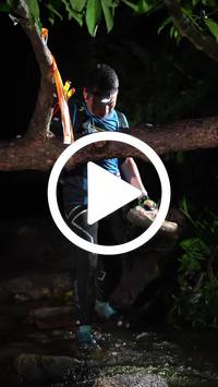 BIB:  <button type="button" onclick="openModal(27824924)" class="btn btn-primary btn-sm float-right" data-toggle="modal" data-target=".modal-high-quality">
                <i class="fa fa-download"></i> Download
                </button>